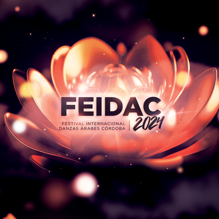 FEIDAC2024-logo